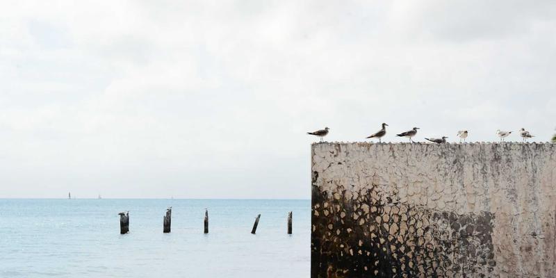 IPv6规模化部署：网络安全、系统架构与迁移策略全解析