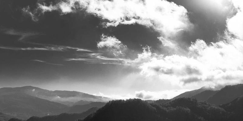 从NFV到云原生：网络安全与网络技术的编程演进之路