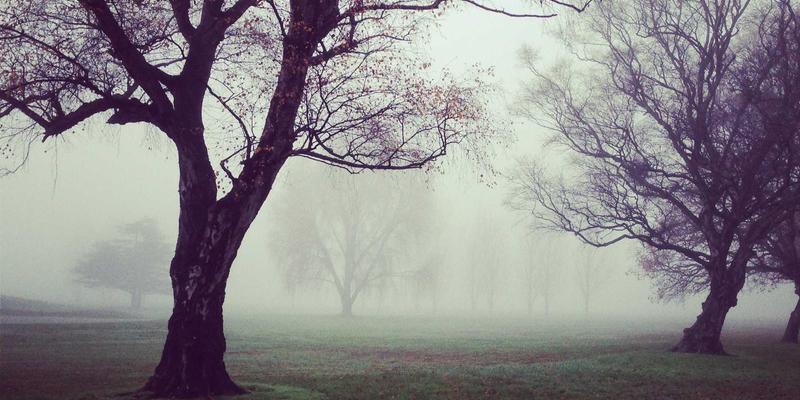 容器网络接口（CNI）深入解析：构建安全、高效的多租户云原生网络解决方案