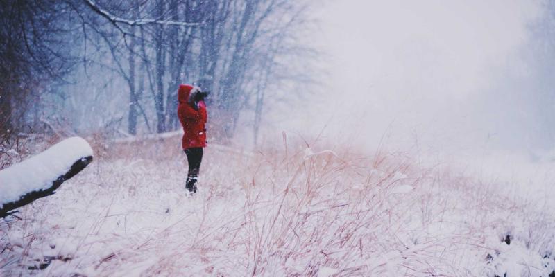 构建未来网络：边缘计算架构如何以系统架构与编程技术应对低延迟与海量数据挑战