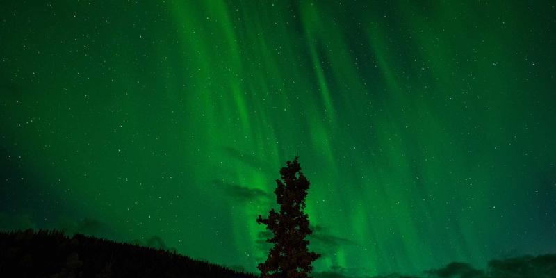 编程视角下的零信任架构：构建下一代网络安全防护体系实战指南