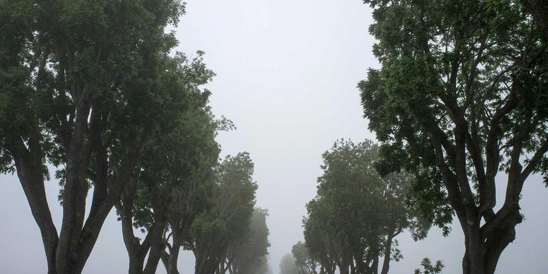 网络即代码革命：如何用Ansible与Terraform构建智能网络架构