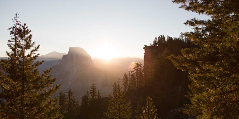 网络即服务(NaaS)商业模式解析：如何通过IT解决方案与网站开发技术简化企业网络运营
