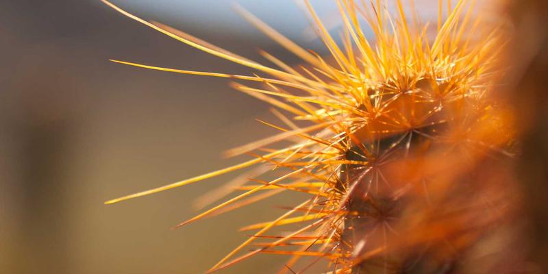 网络安全、IT解决方案与软件开发：现代企业数字化转型的三大支柱