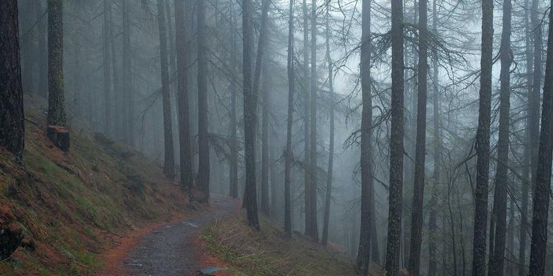 网络安全新范式：SD-WAN与SASE融合如何重塑企业IT架构与解决方案