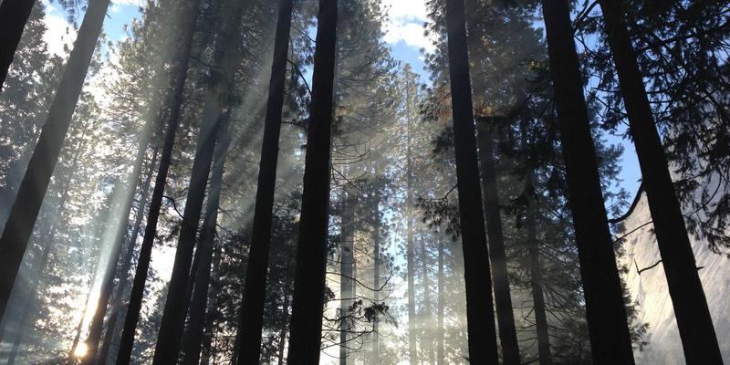 网络技术56：系统架构、网站开发与网络安全的融合之道