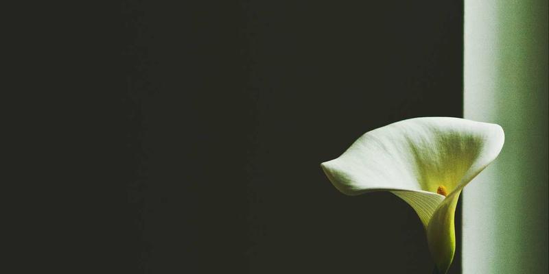 网络技术68:编程与网络安全的融合演进