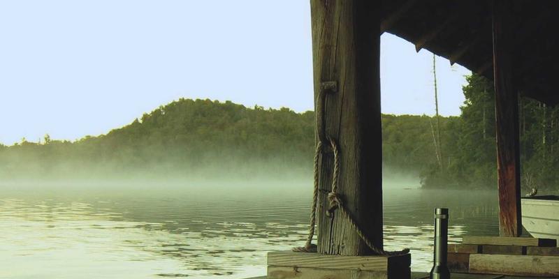 网络技术演进：从系统架构革新到网站开发新范式