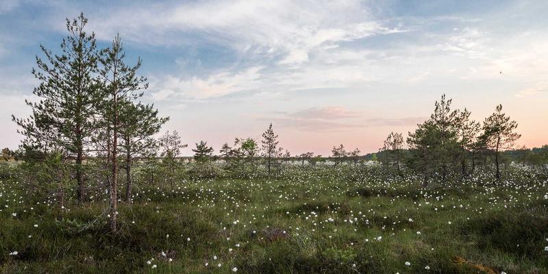 边缘计算网络：重塑物联网与工业互联网的下一代系统架构